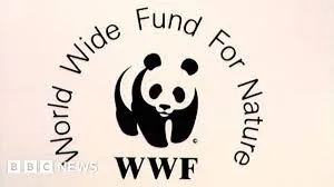 MTN-WWF AFRICA PACHIPANDA COMPETITION 2025 FOR YOUTH-LED SMES (5,000 USD PRIZE) 6 WWF logo - sponsor of the competition