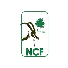 Apply Now: 2026 NCF Chief S.L. Edu Ph.D. Research Grant for Nigerian Doctoral Researchers - KP Visa and Travels