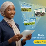 UNDP Nigeria Digital for Youth-Led Enterprise Programme 2025 for Young Nigerian Innovators - KP Visa and Travels