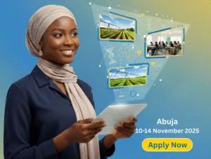 UNDP Nigeria Digital for Youth-Led Enterprise Programme 2025 for Young Nigerian Innovators - KP Visa and Travels