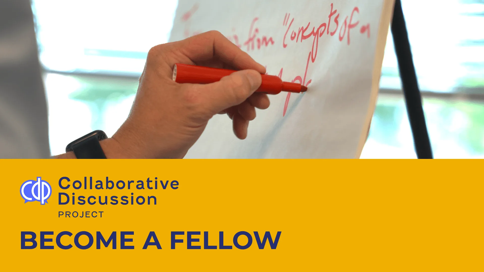 Collaborative Discussion Emerging Fellowship