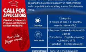 IDM-Africa Fellowship Programme 2027