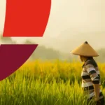 Nexa Lighthouse Funding Program