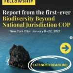EJN Reporting Fellowships