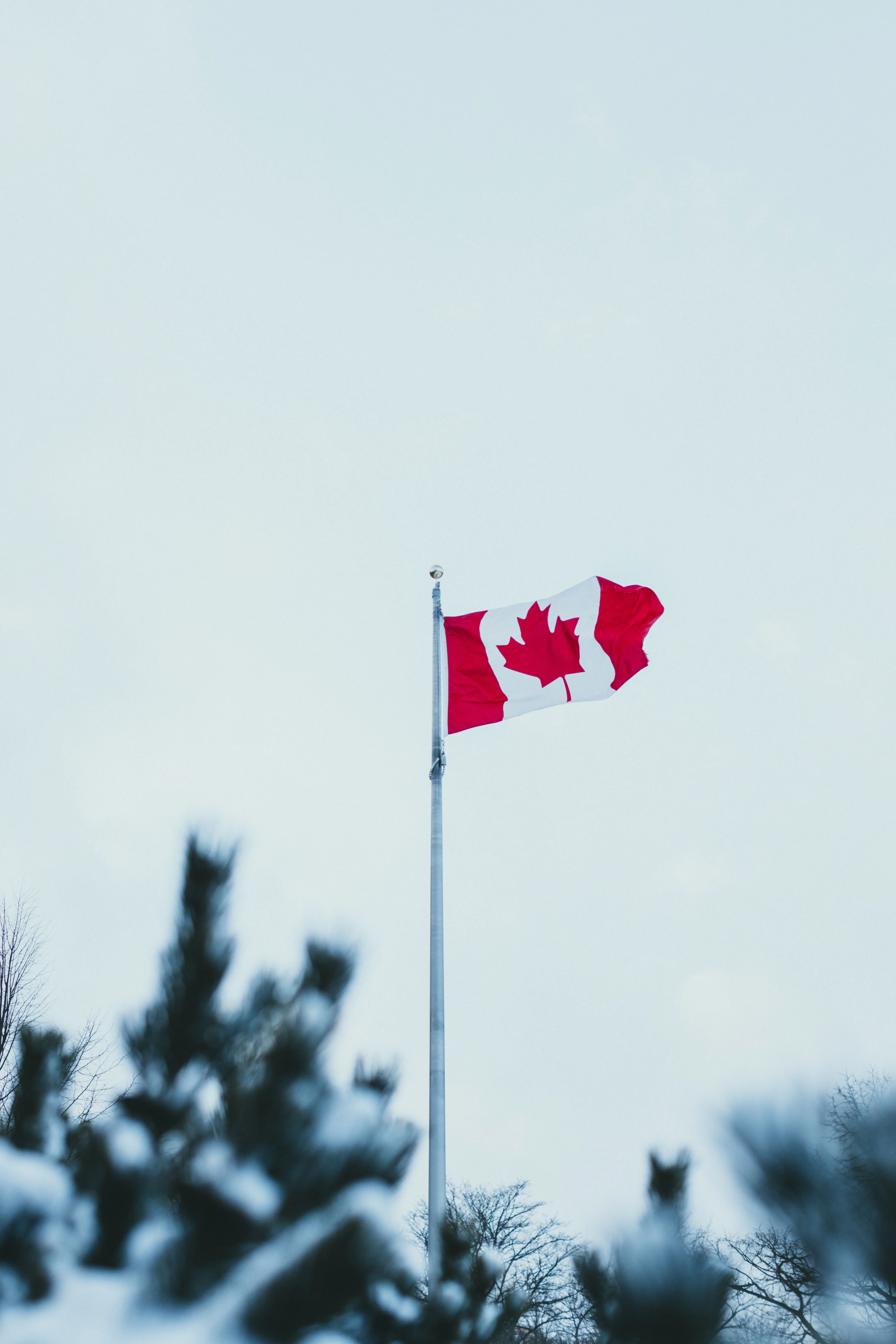 Canada immigration AI rules